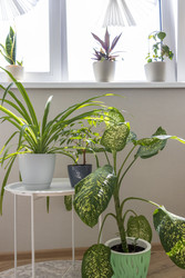 Similar image 22233379