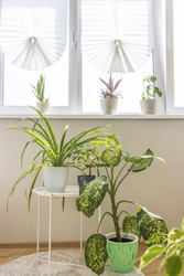 Similar image 22233380