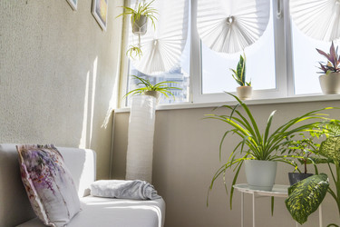 Similar image 22233382