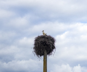 Similar image 22233385