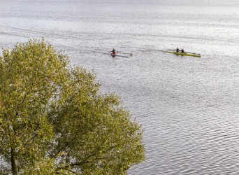 Similar image 22233389