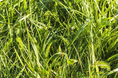 Similar image 22233391