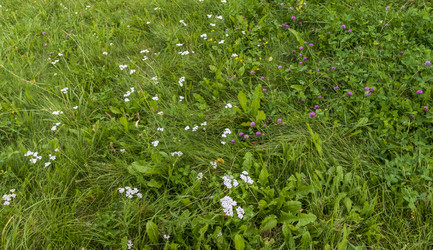 Similar image 22233393