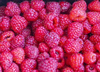 Similar image 22233394