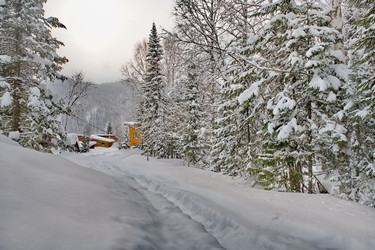 Similar image 22230689