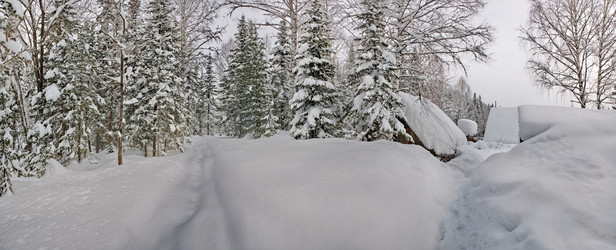 Similar image 22230690