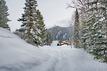 Similar image 22230695