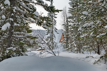 Similar image 22230698