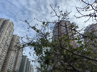 Similar image 22230331