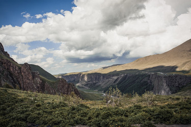 Similar image 22229520