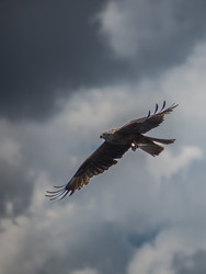 Similar image 22229522