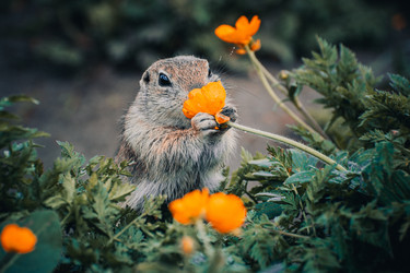 Similar image 22229525