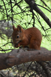 Similar image 22229449