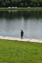 Similar image 22229453