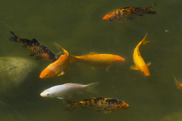 Similar image 22229379