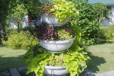 Similar image 22229381