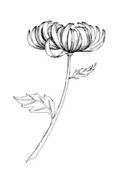 Similar image 22230544