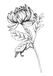 Similar image 22230548