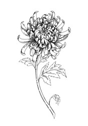 Similar image 22230551