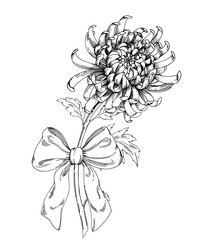 Similar image 22230553