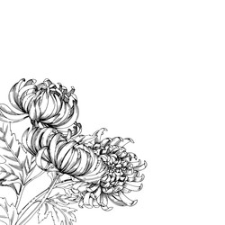 Similar image 22230555