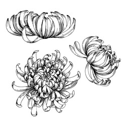 Similar image 22230559