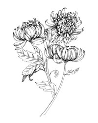 Similar image 22230560