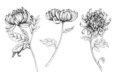 Similar image 22230563