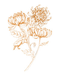 Similar image 22230565