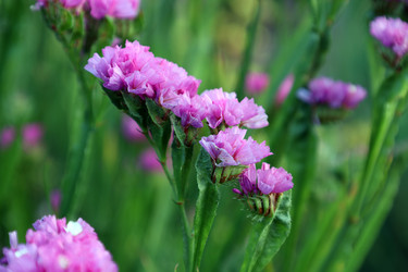 Similar image 22229459