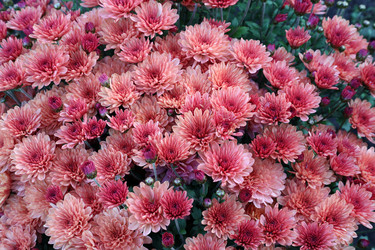 Similar image 22229460