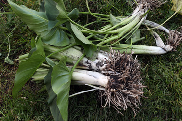 Similar image 22229463