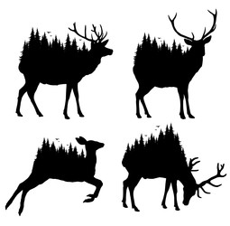 Similar image 22231087