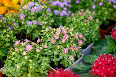 Similar image 22230581