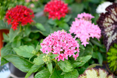 Similar image 22230582