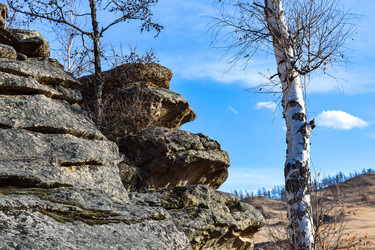 Similar image 22231030