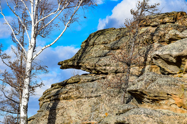 Similar image 22231033