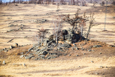 Similar image 22231035