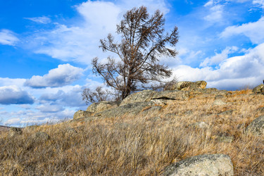 Similar image 22231070