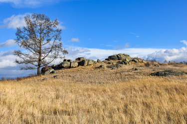 Similar image 22231043