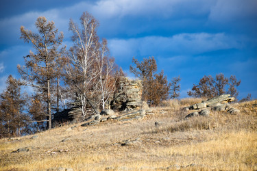 Similar image 22231049