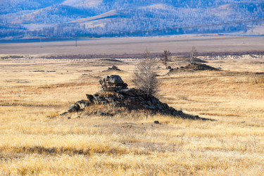 Similar image 22231058