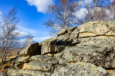 Similar image 22231060