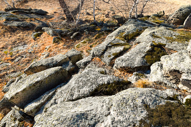 Similar image 22231064