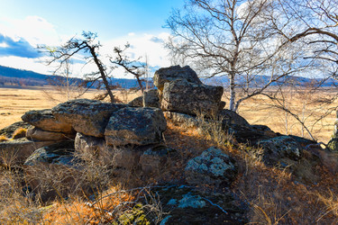 Similar image 22231065