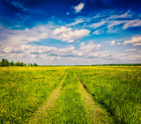 Similar image 22231868