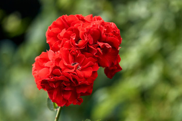 Similar image 22231880