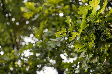 Similar image 22231881