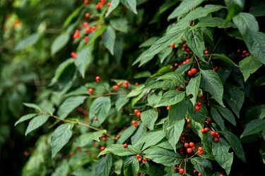 Similar image 22232348