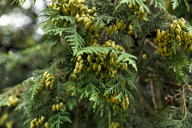 Similar image 22231883